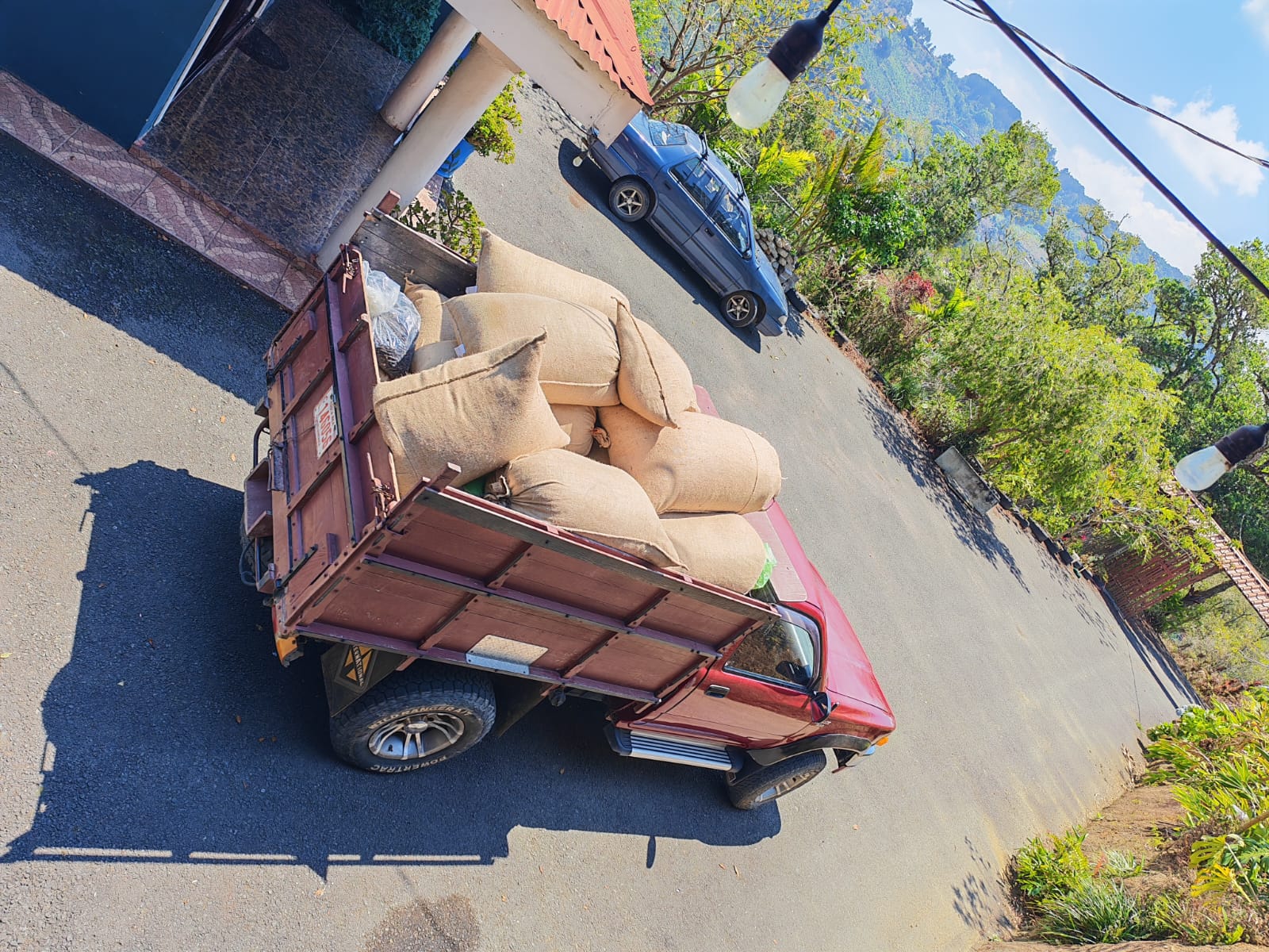 Camioncito transportando sacos de café por la carretera de la finca