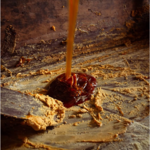 Detalle del proceso de fermentación del vino
