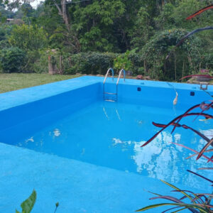 Piscina principal rodeada de naturaleza