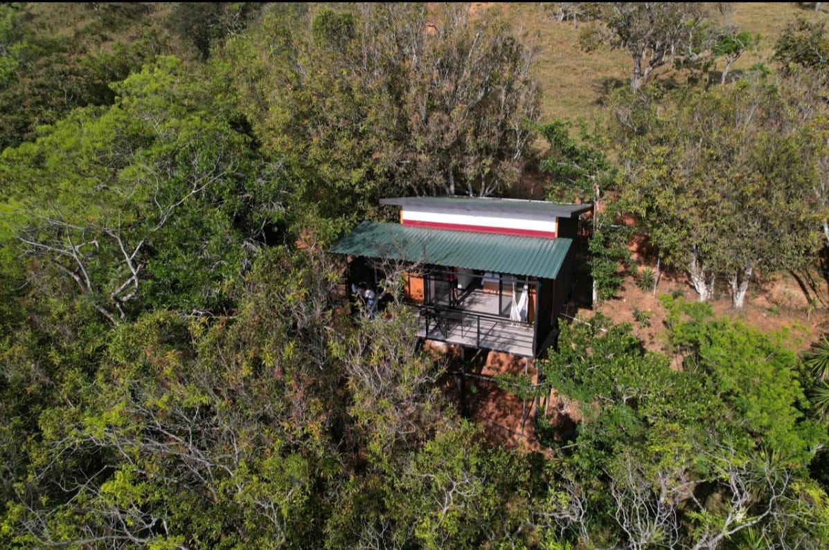 Cabaña de MiraVerde entre los árboles
