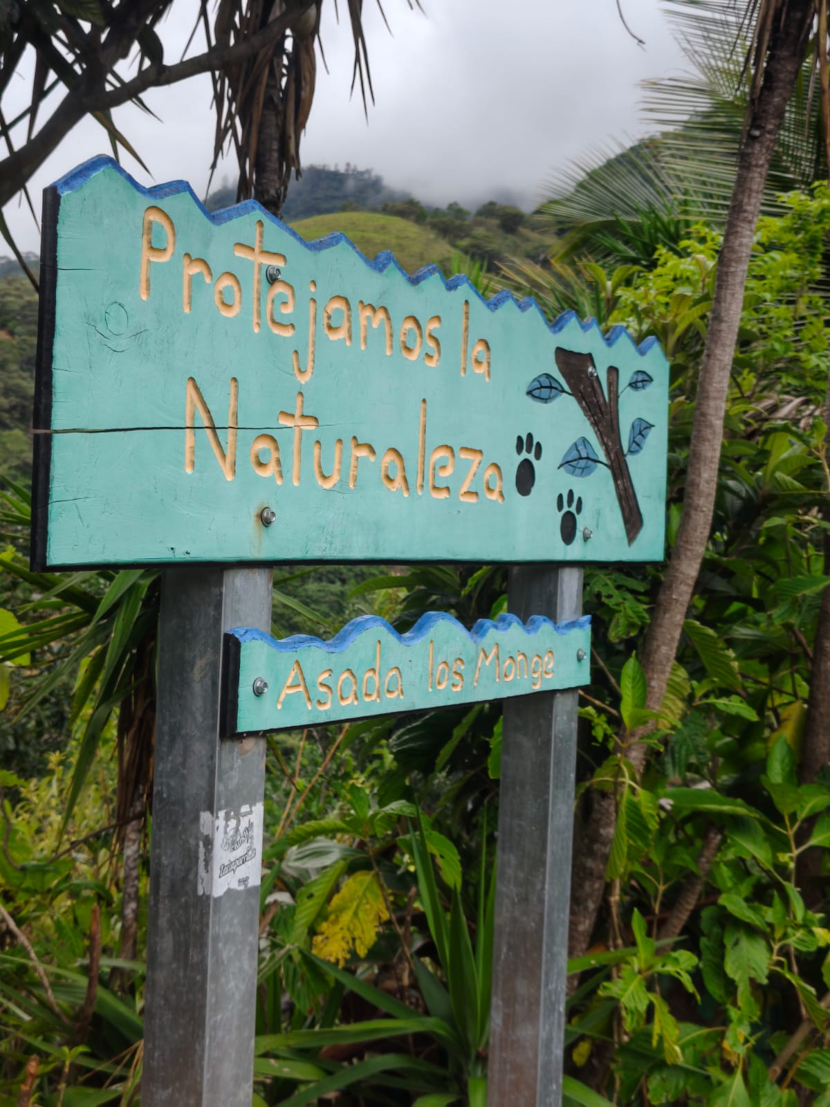 Naturaleza protegida cerca de MiraVerde