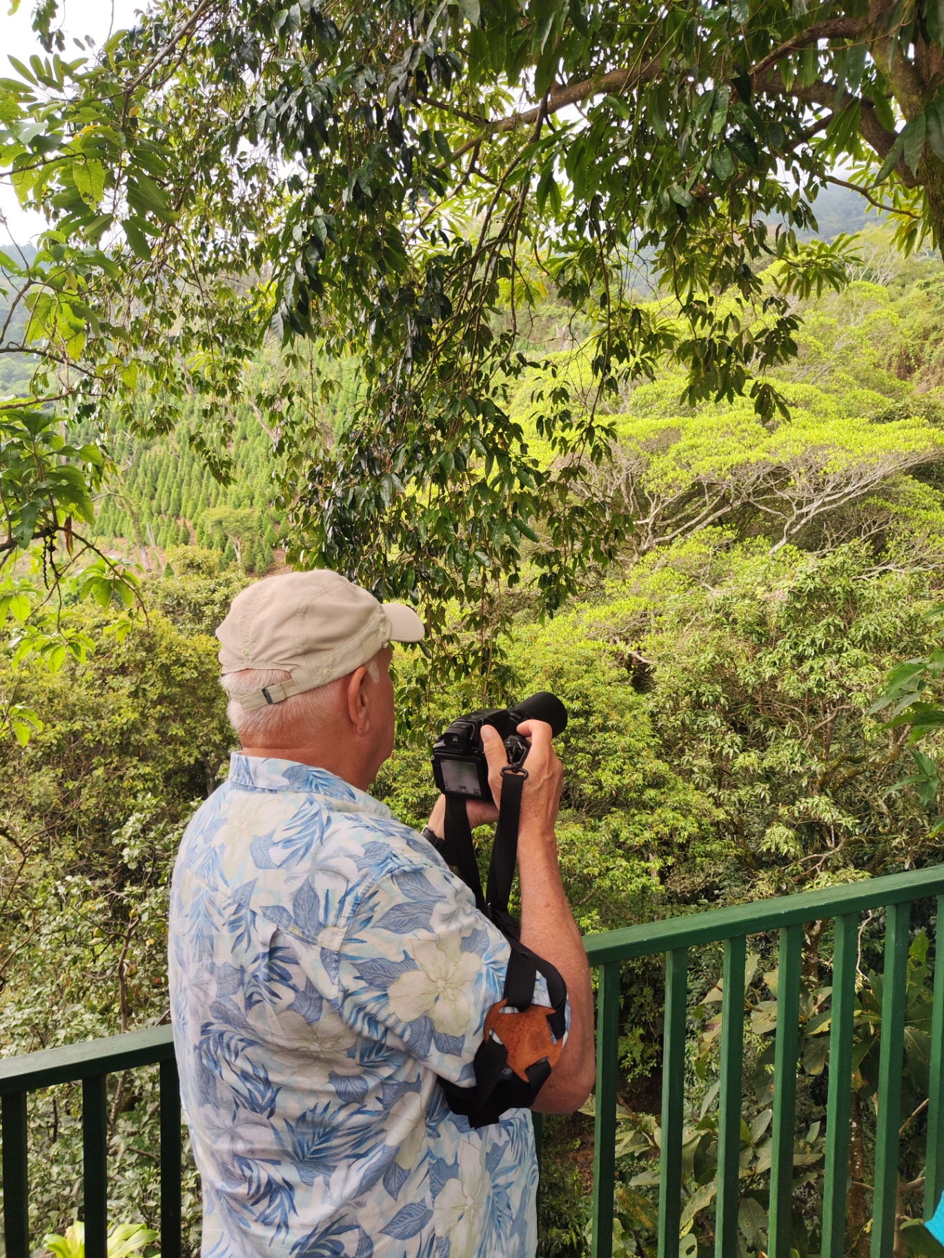 Visitante observando el paisaje desde el mirador