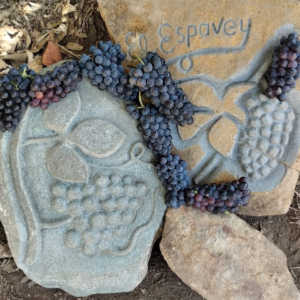 Uvas frescas junto a la piedra grabada El Espavey