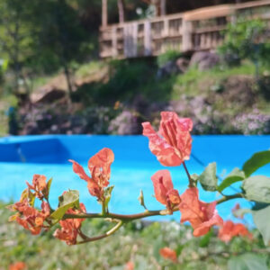 Rancho y jardines floridos