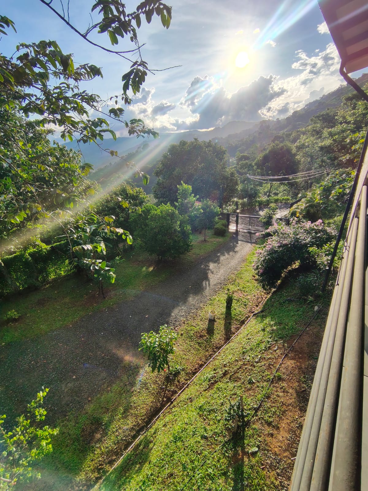 Amanecer sobre las montañas desde MiraVerde