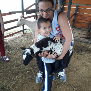 Encuentro con animales de granja