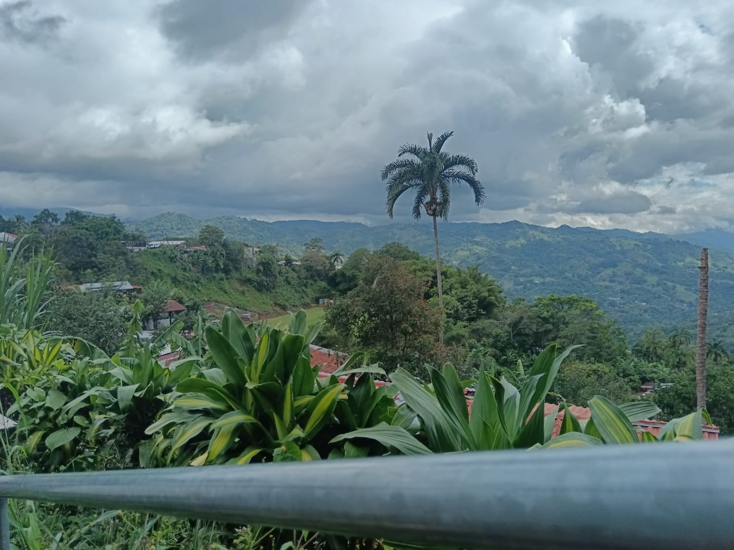 Palmera y montañas desde la terraza del mirador