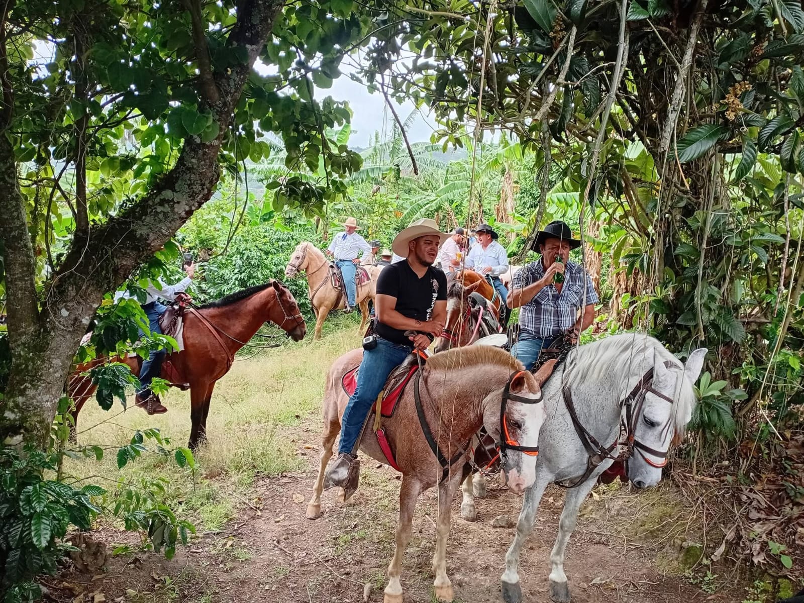 Cabalgata por senderos entre cultivos y vegetación