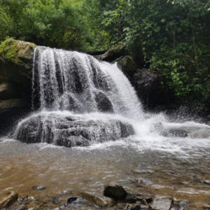 Catarata en Nacientes Palmichal
