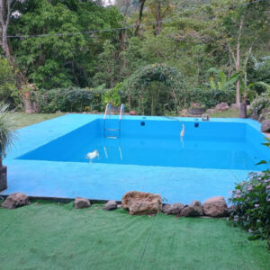 Piscina con áreas verdes