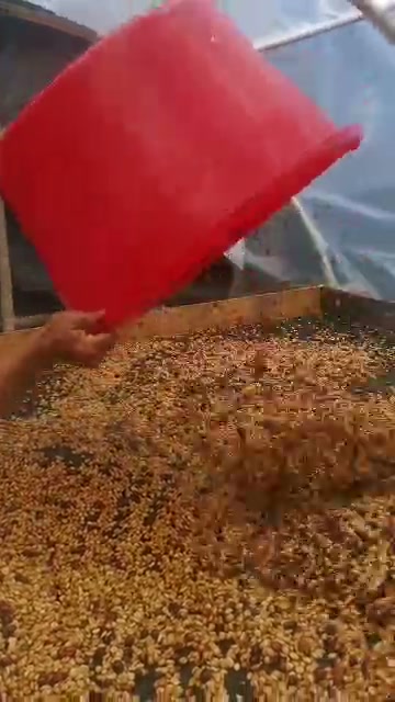 Video de paisajes y actividades en El Silbido