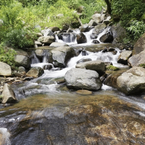 Río y cascadas naturales de Palmichal