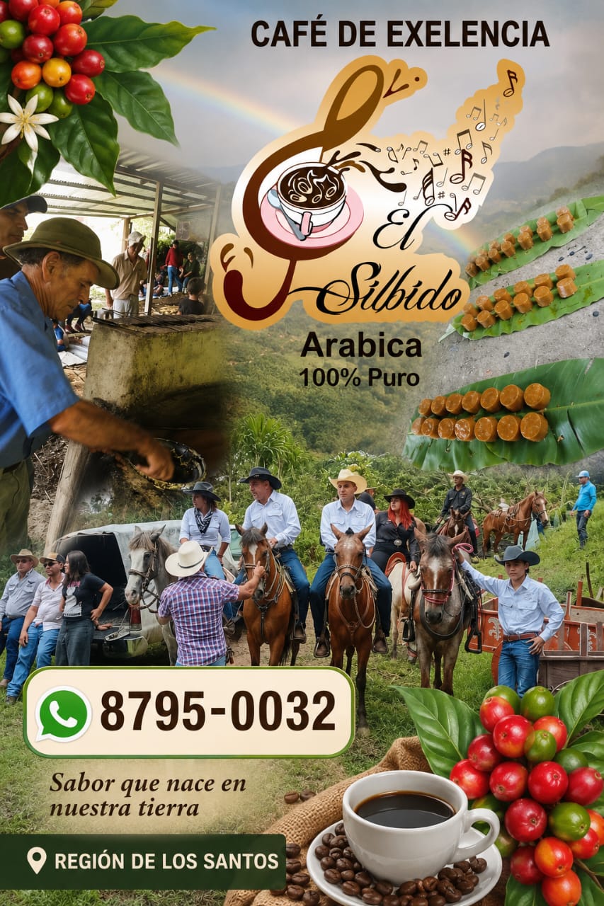 Collage promocional de Café El Silbido con café, trapichada, cabalgata y contacto