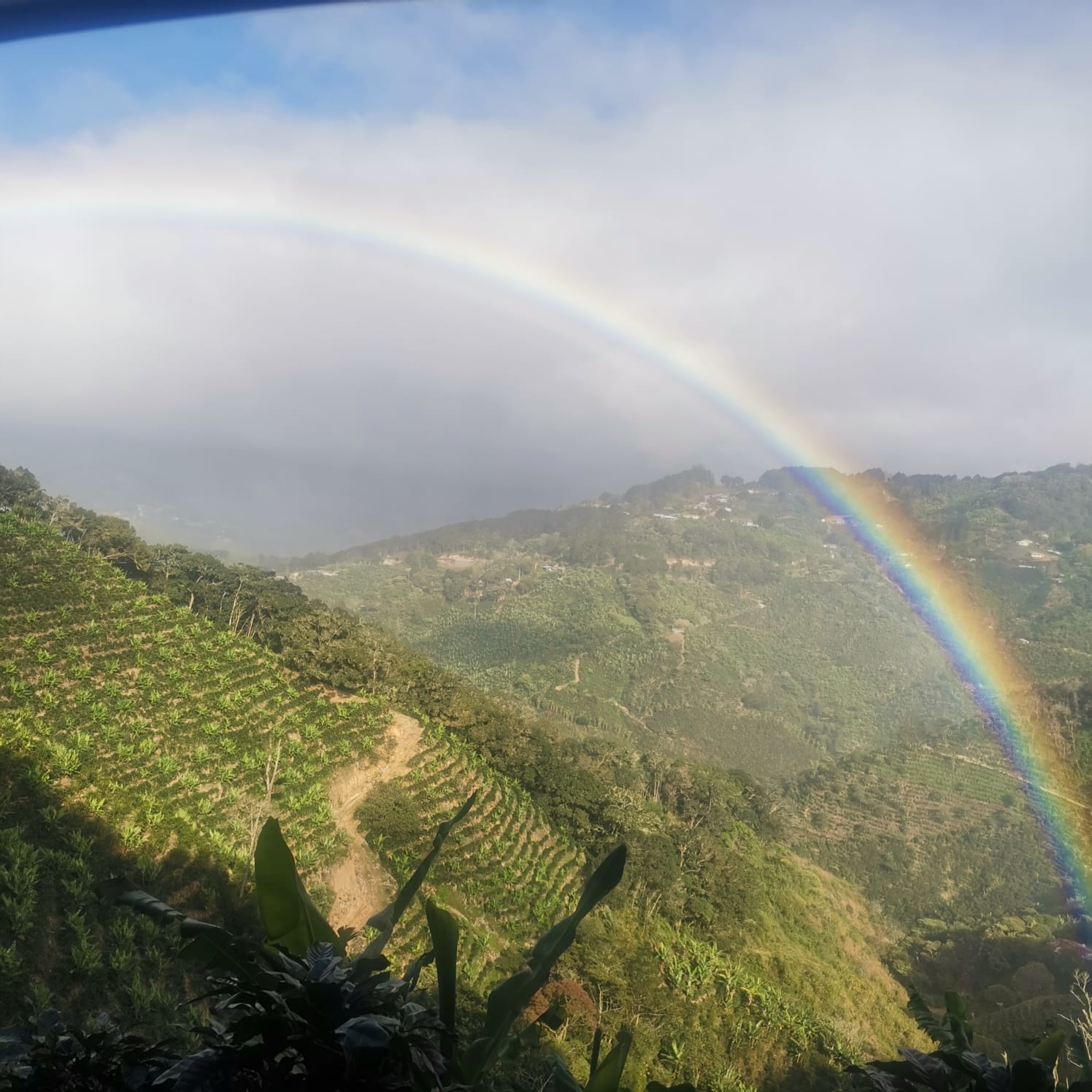 Arcoíris sobre los cerros y cafetales de El Silbido