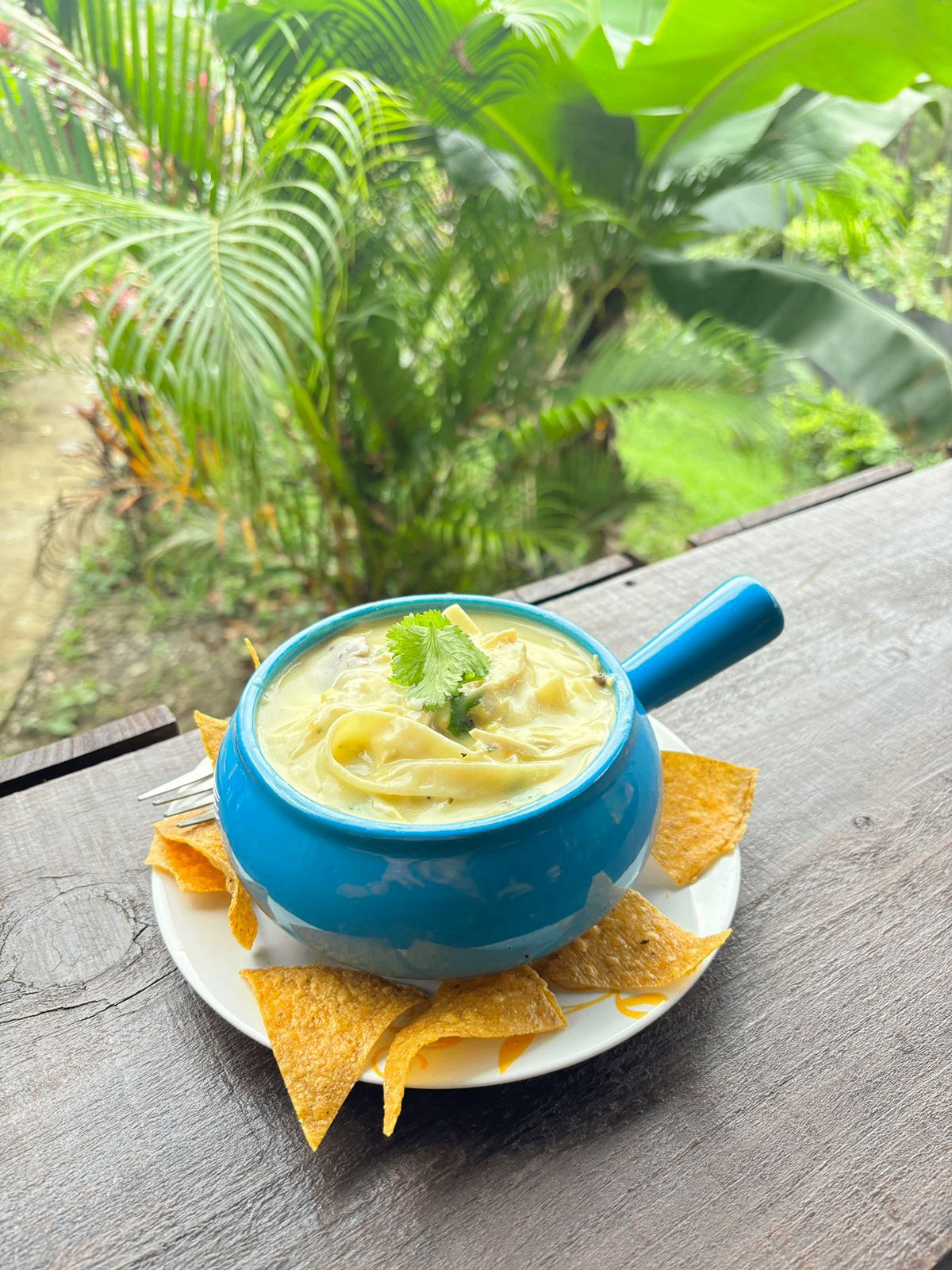 Sopa servida en terraza rodeada de vegetación en La Ranchilla