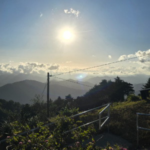 Vista al sol y mar de nubes desde el mirador