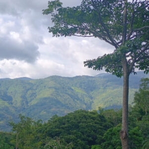 Paisaje natural de la finca