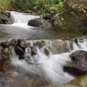 Cascada natural con aguas cristalinas