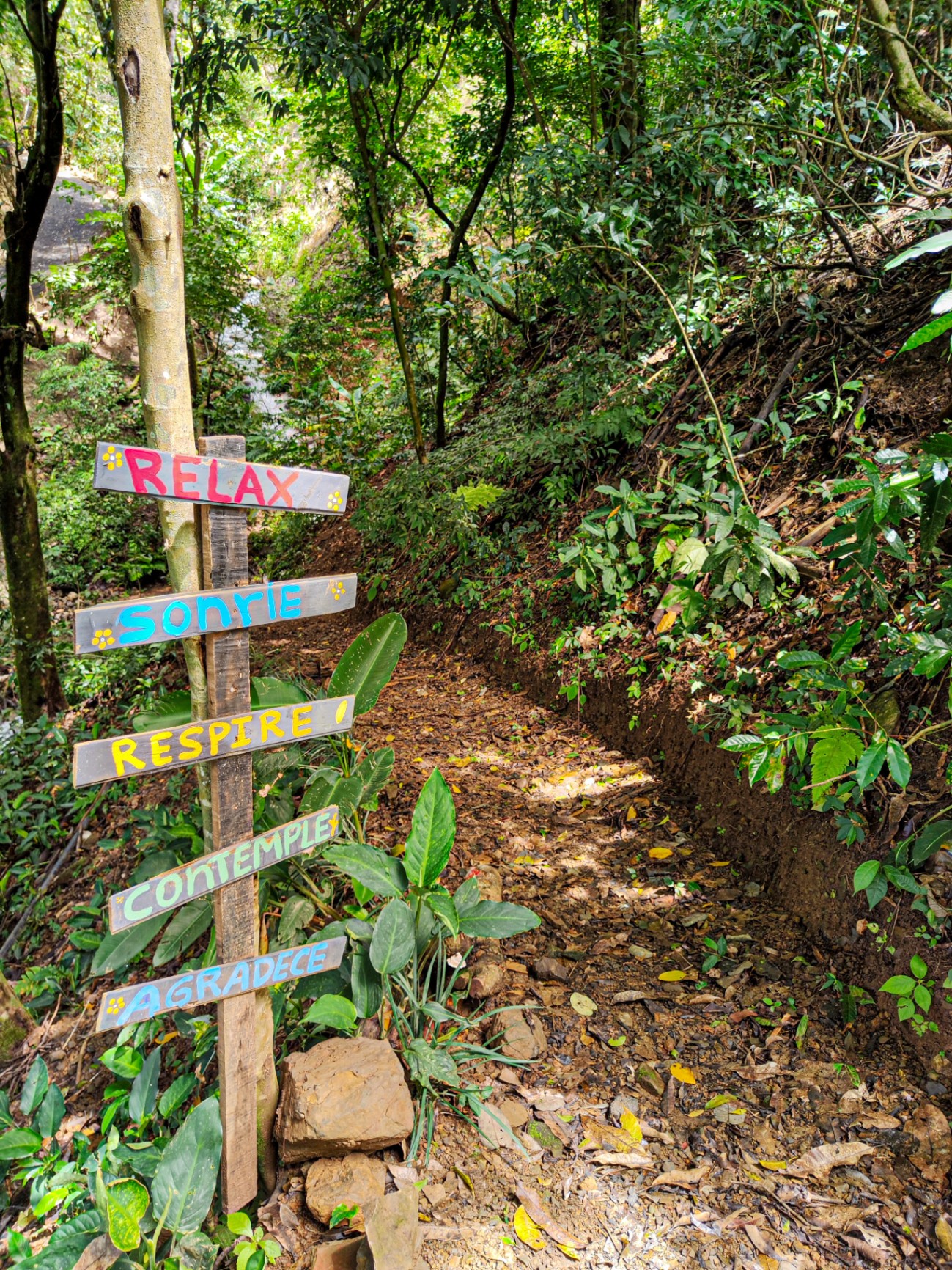 Sendero natural con rótulos de relajación y contemplación