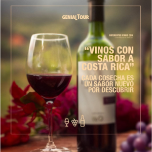 Vinos con sabor a Costa Rica servidos en copa