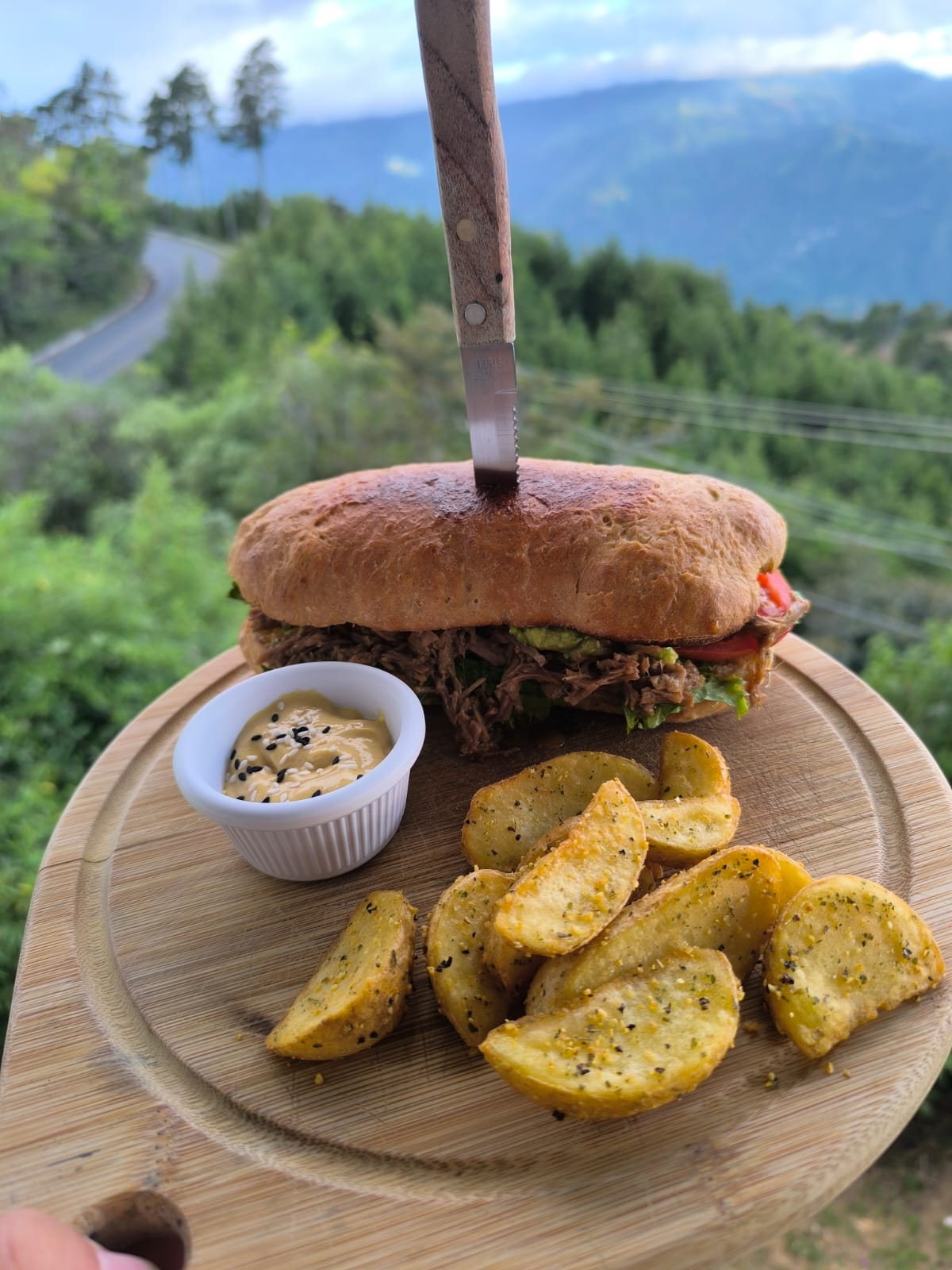 Sándwich de carne mechada con papas y vista panorámica