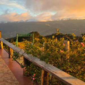 Sendero del mirador con flores y vista panorámica