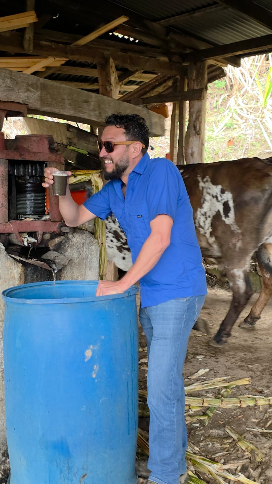 Hombre degustando jugo de caña recién extraído en el trapiche