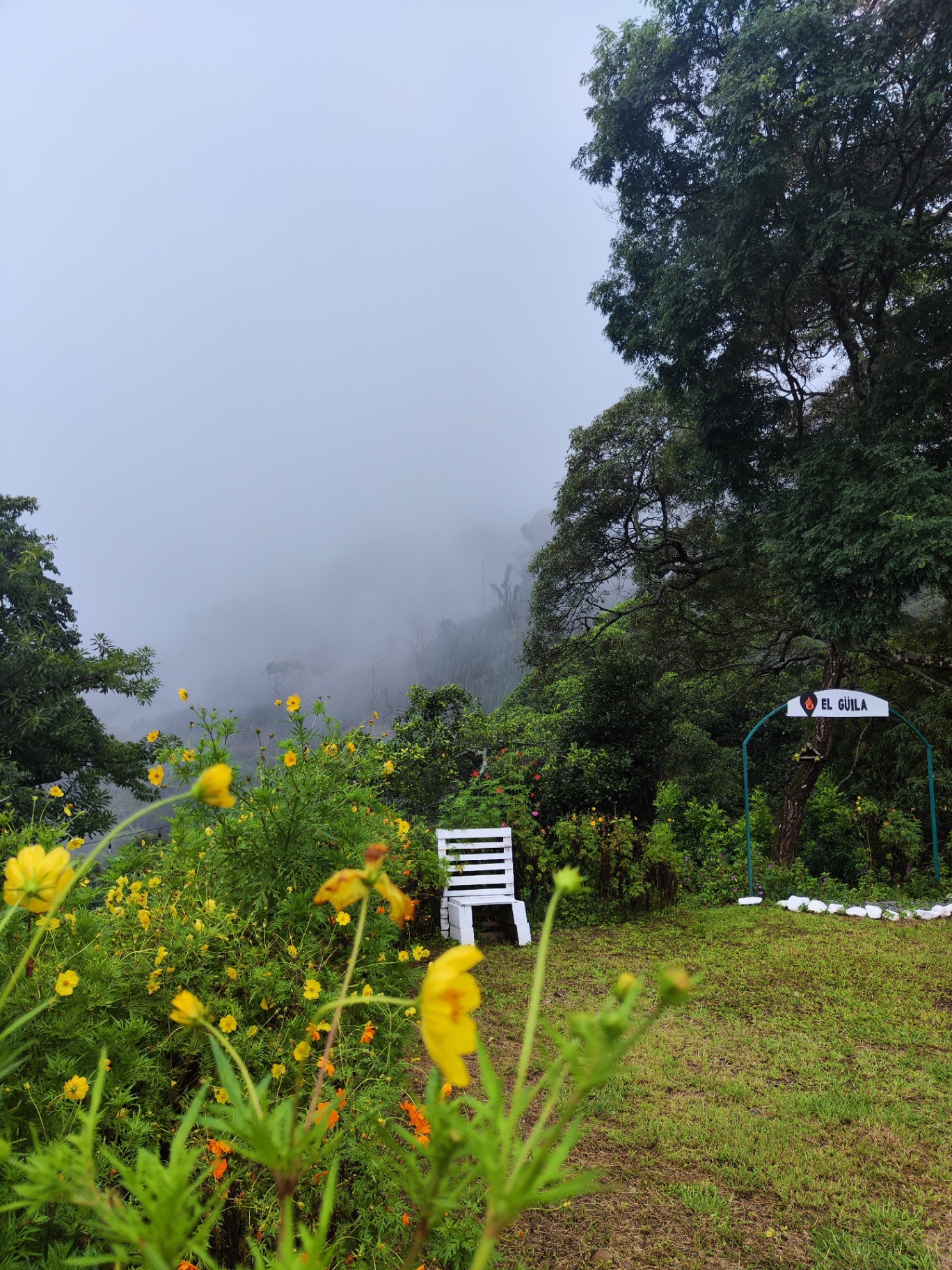 Jardín exterior con neblina y rótulo de El Güila