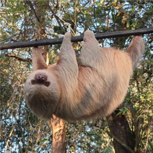 Naturaleza Villas Los Colibrí