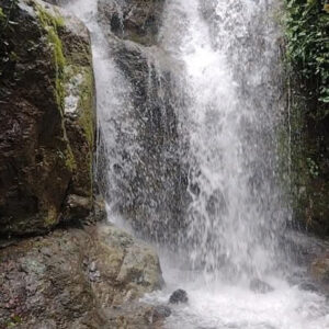 Entorno natural Villas Los Colibrí