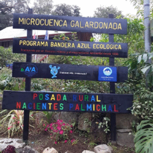 1 NACIENTES PALMICHAL