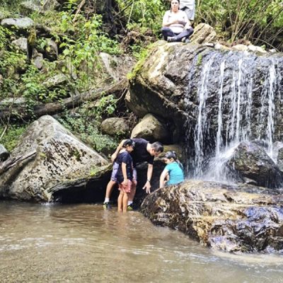 Nacientes-Palmichal-Caminatas-por-senderos-