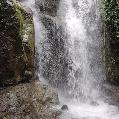 Entorno natural Villas Los Colibrí